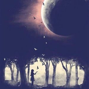 Meet your Posher, Claudia